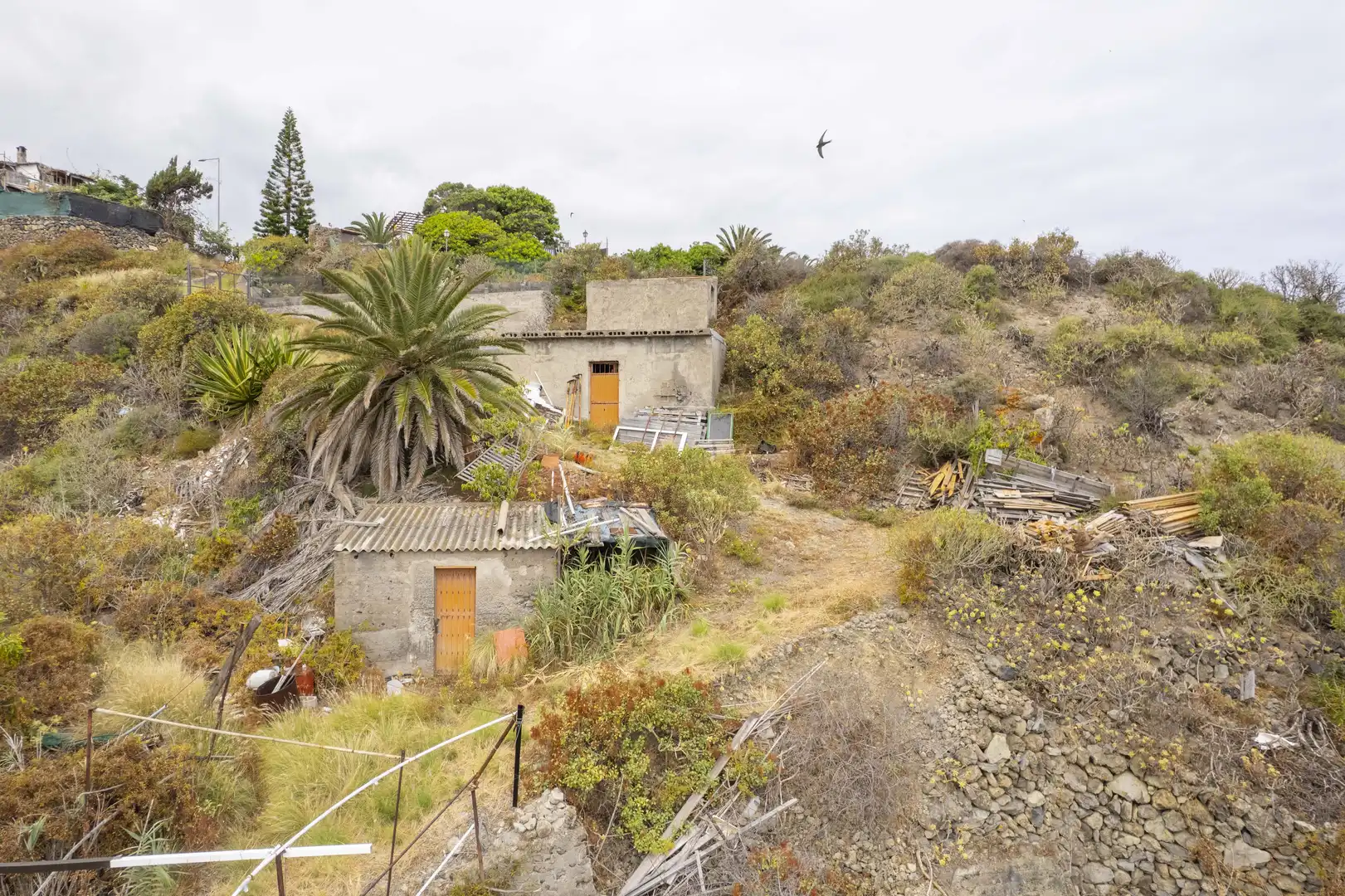 Land for sale in La Guancha