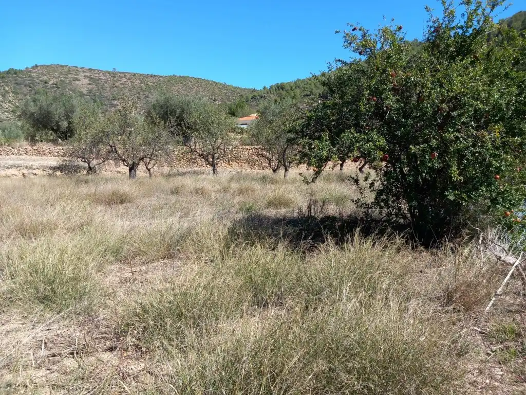 Terreno en venta en Tuéjar
