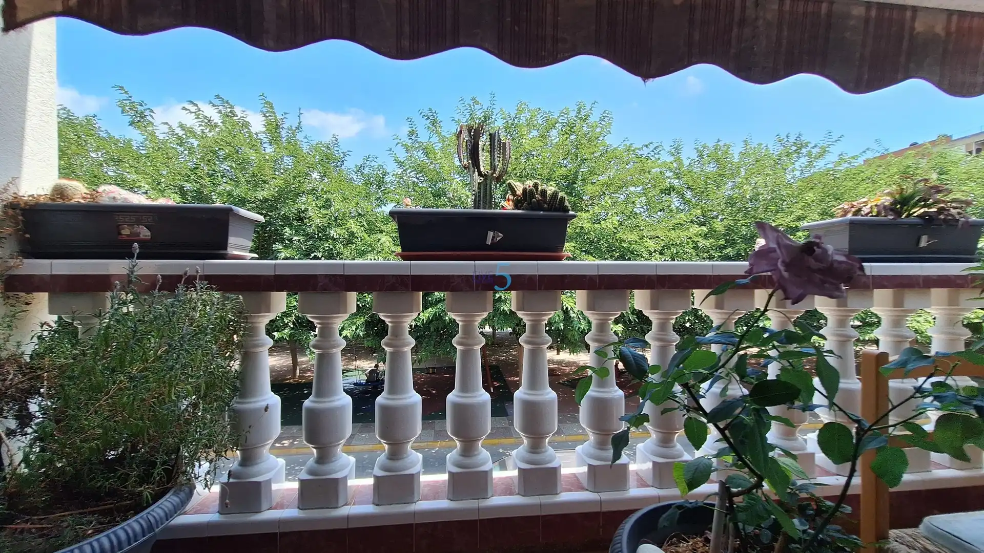 Terraza de Casa o chalet en venta en Almoradí con Terraza, Trastero y Amueblado