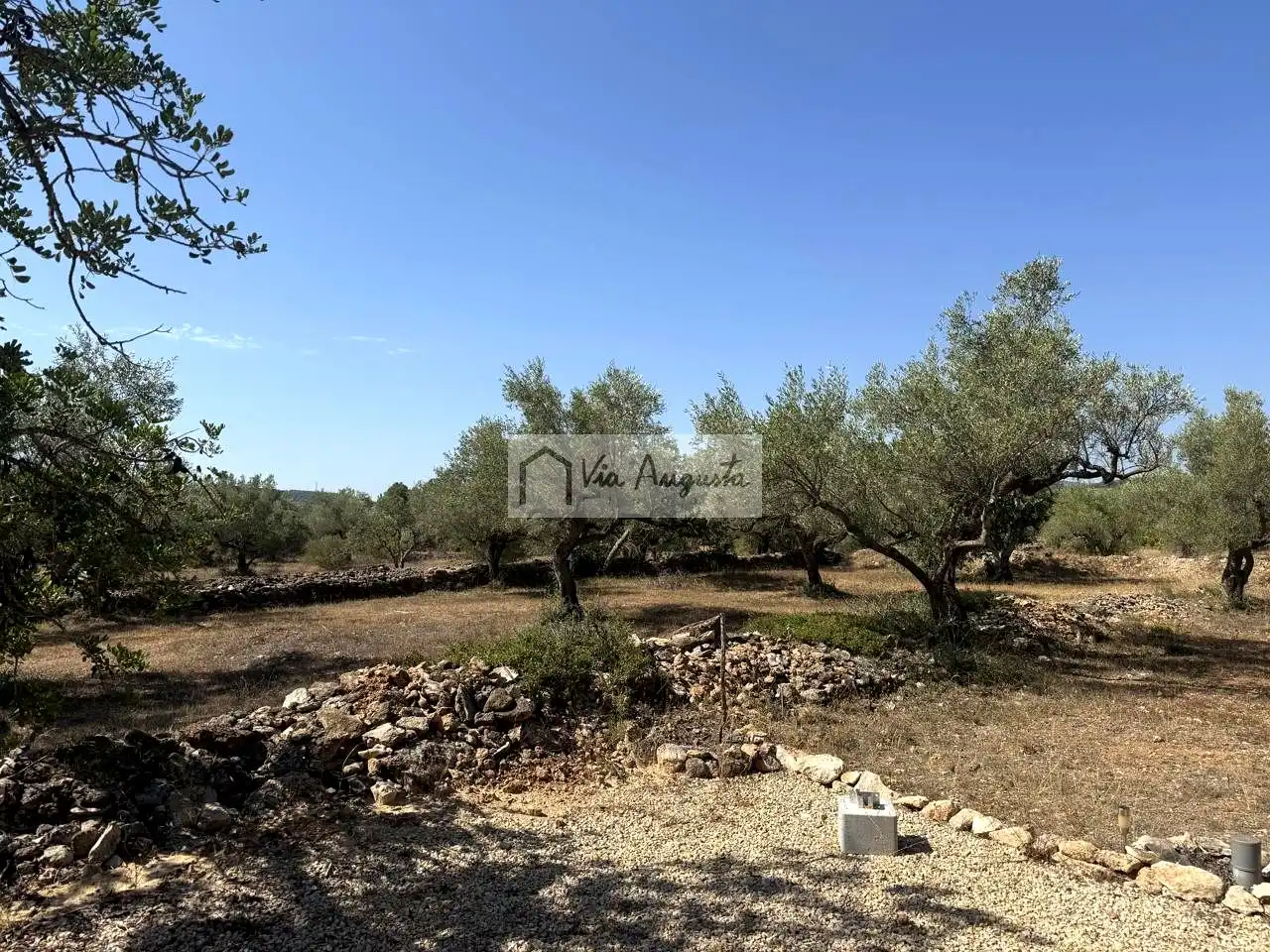 Terreno rustico in vendita a Mas de Baralluga, imagen 24