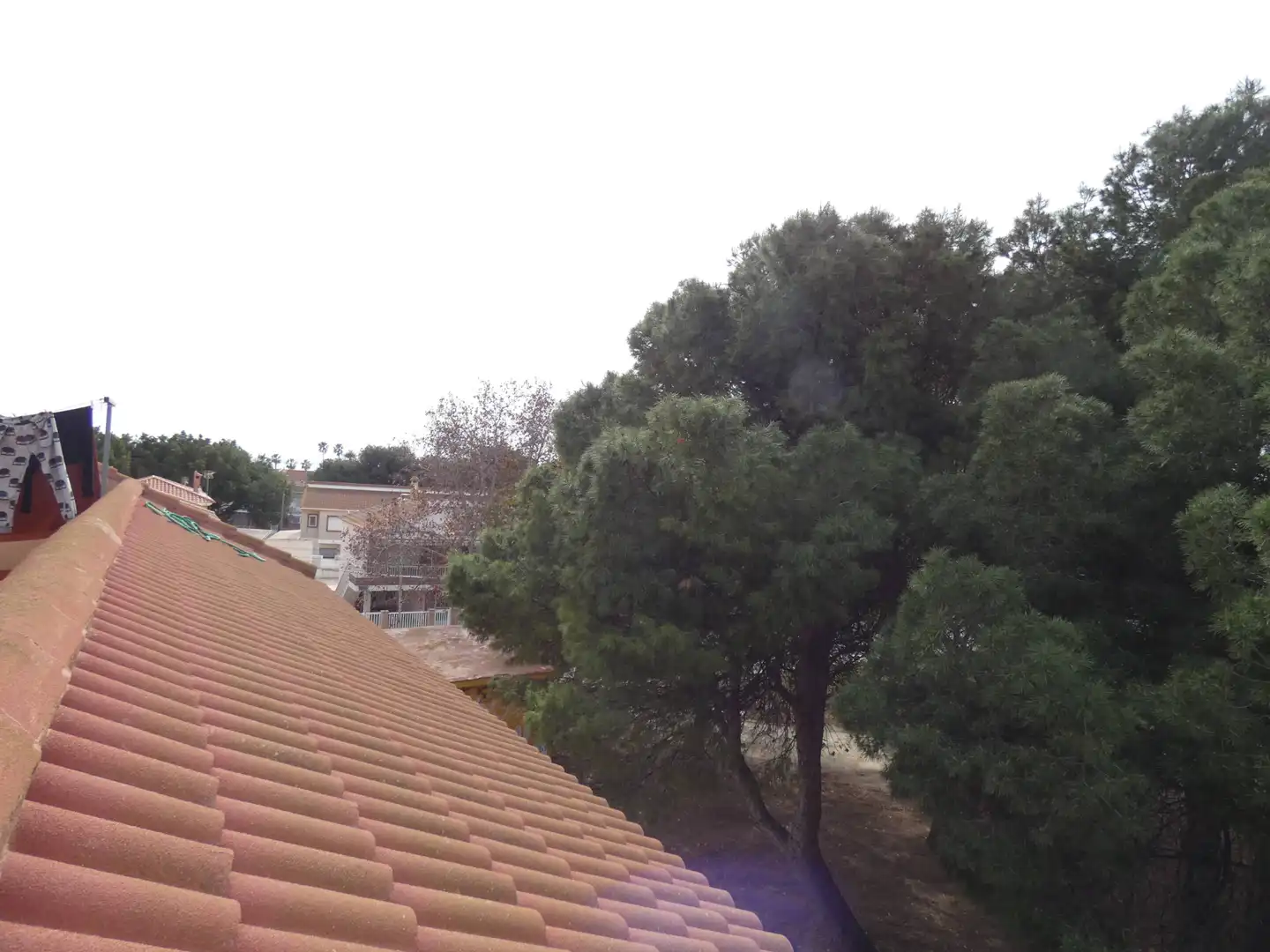 Business premises for sale in Los Narejos - Punta Calera, imagen 69