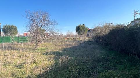 Photo 3 of Residential for sale in Tomillo, Espartales, Madrid