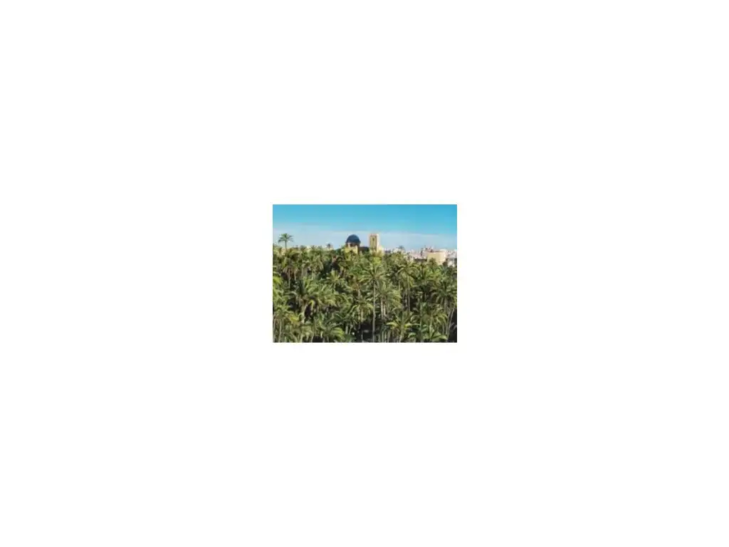 Appartamento in vendita a Elche ciudad, imagen 6