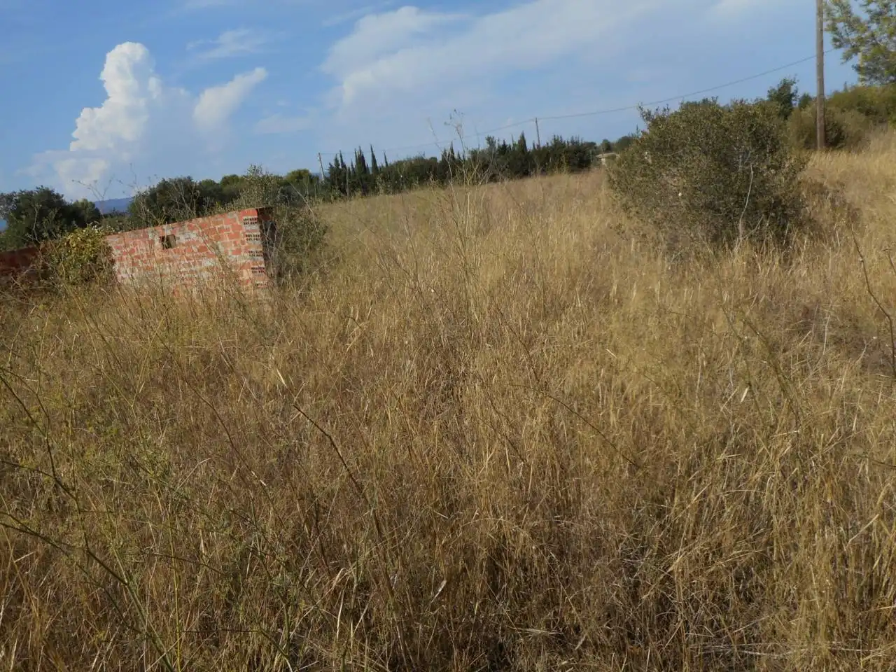 Rural land for sale in Carretera dels emprius, imagen 3