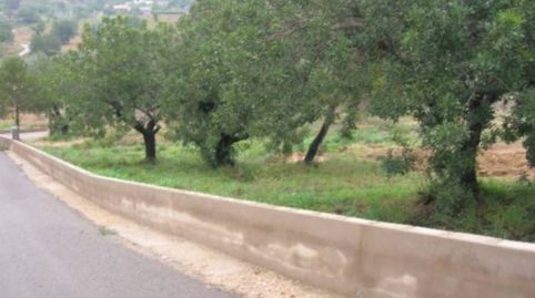 Terreno en venta, immagine 2