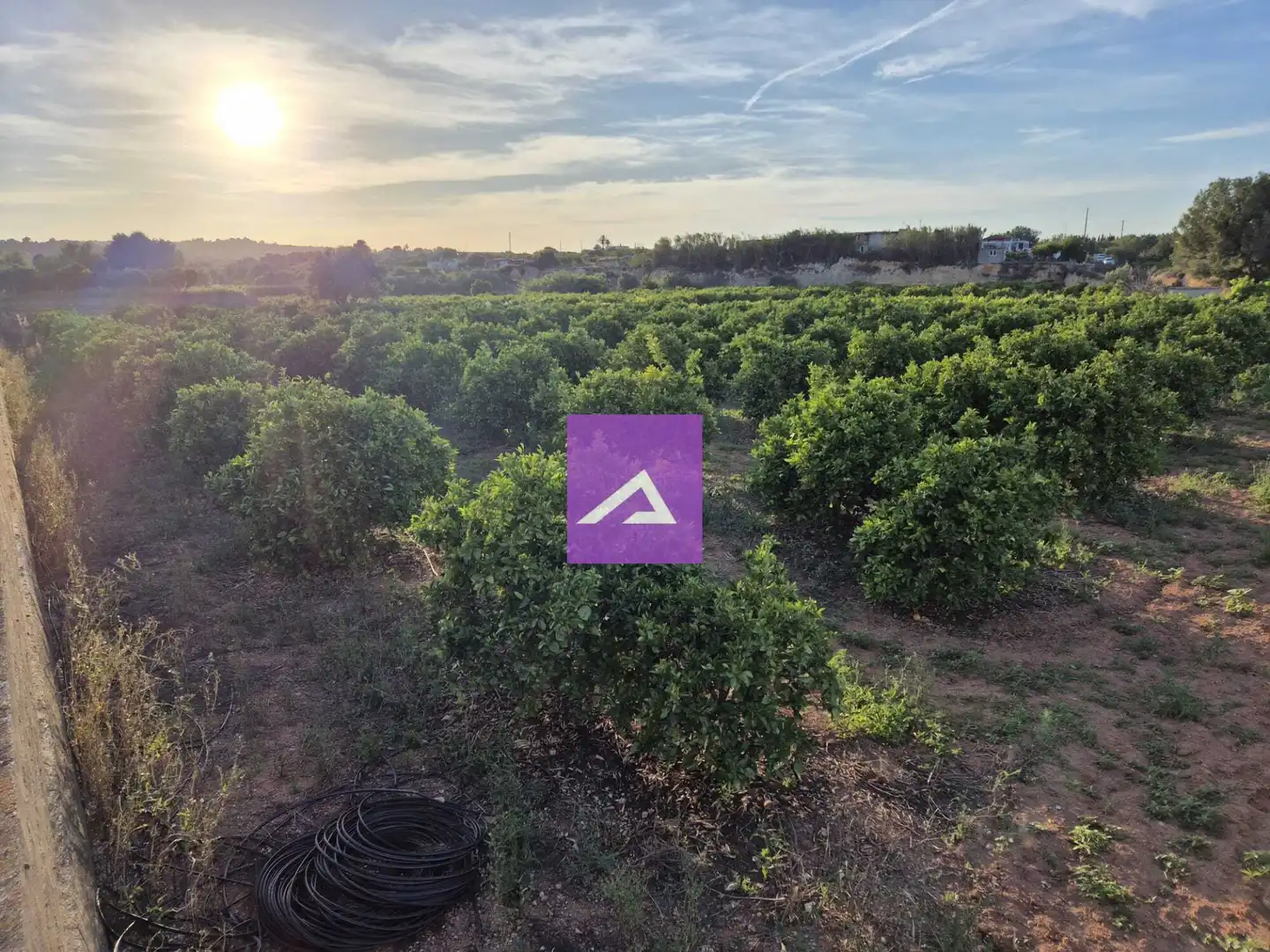 Land for sale in Picassent