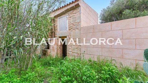 Foto 2 de Finca rústica en venta en Campos poble, Campos