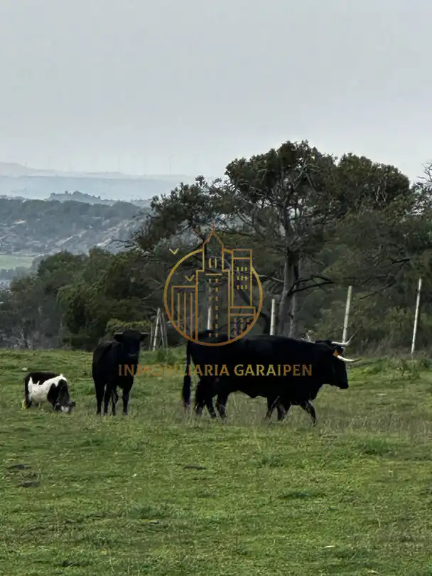 Rural land for sale in Murillo El Cuende, imagen 64