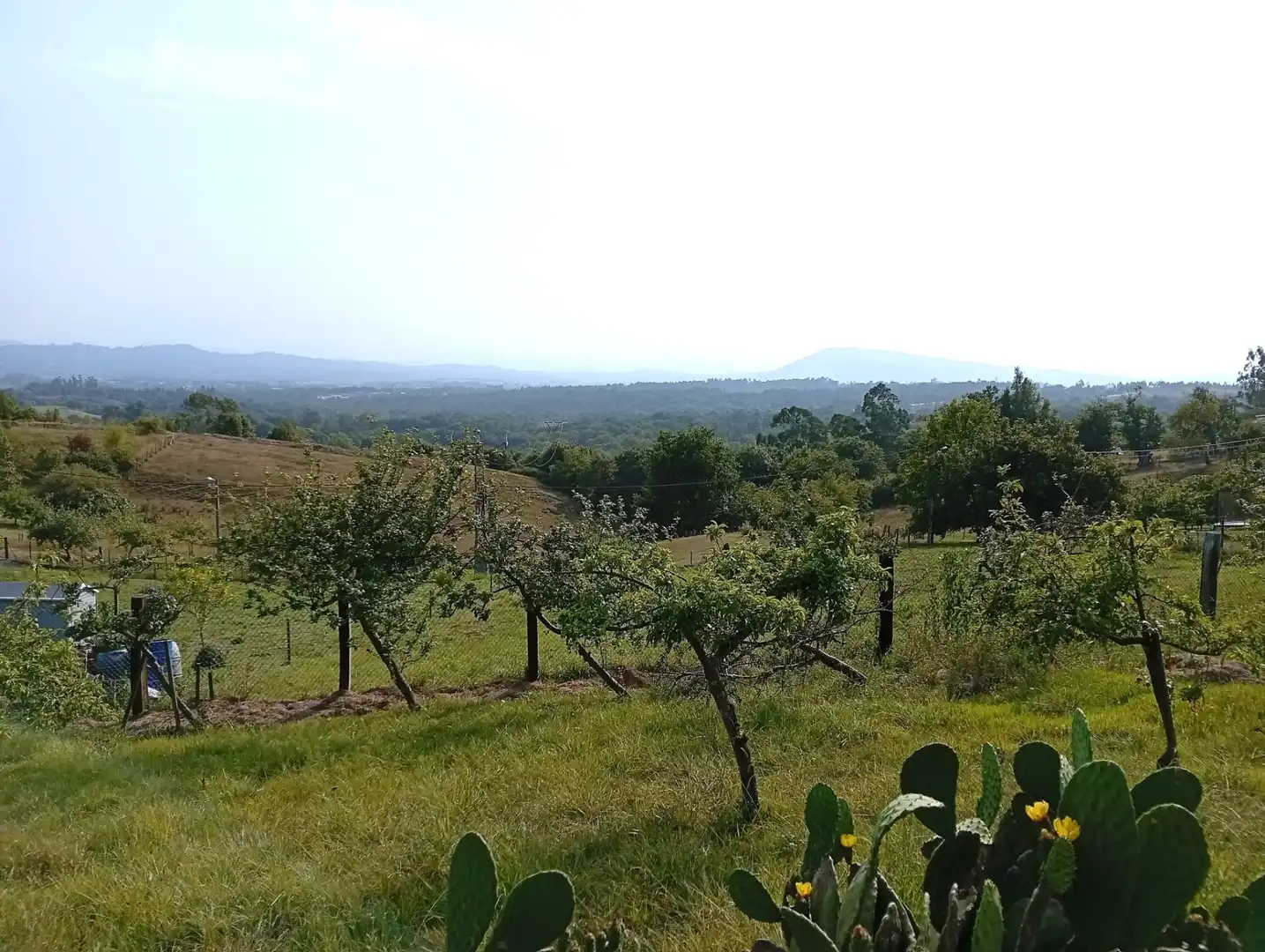 Country homes for sale in Siero  with Heating, Private garden and Parquet flooring