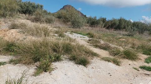 Foto 4 de Finca rústica en venda a Calle Protección Civil, Sierra Elvira, Atarfe