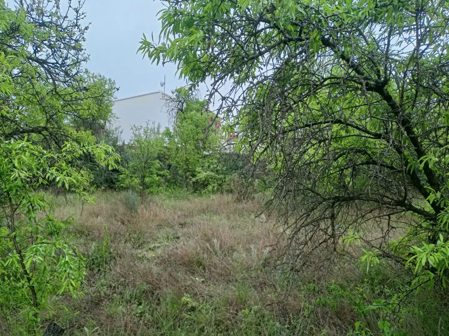 Terreno residencial en venta en Casinos, imagen 10