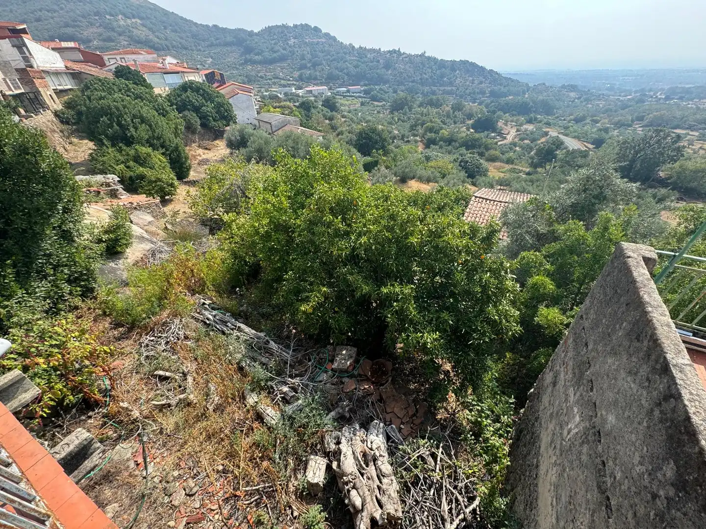 Finca rústica en venta en Arroyomolinos de la Vera