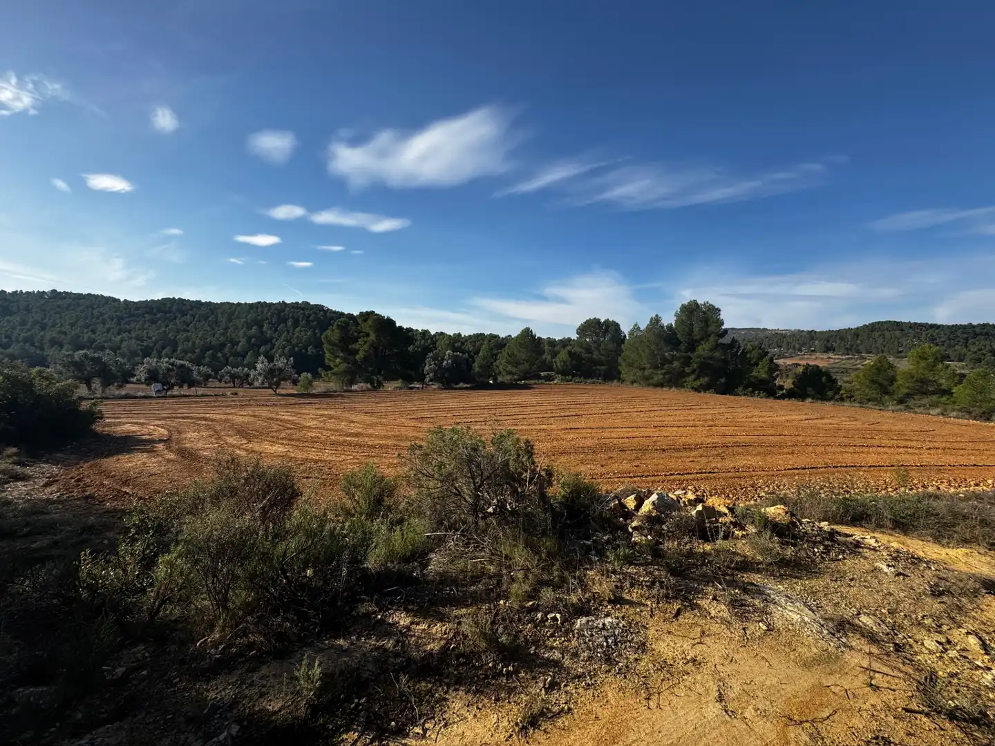 Terreno en venta en N/A, -1, Torre del Compte