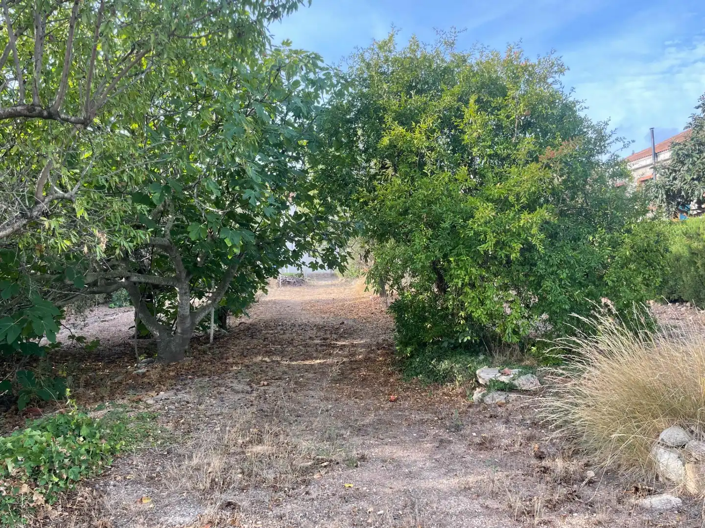 Residencial en venda a Calle CASTILLO CABRER, 494, Cabrera d'Anoia