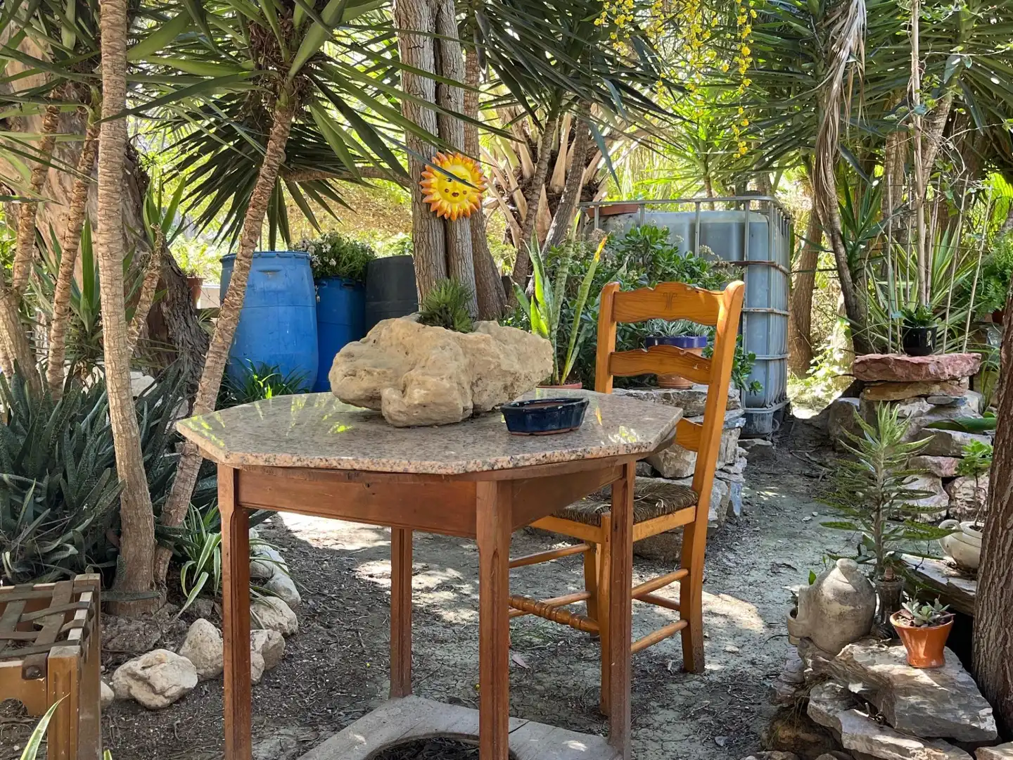 Jardín de Finca rústica de alquiler en Catral con Jardín privado