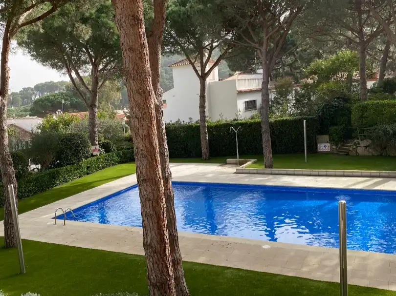 Pis amb piscina en venda a Dues palmeres 25