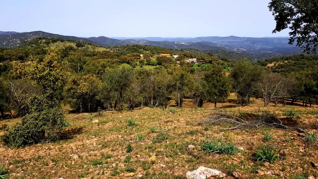 Terrenos y solares en venta en Extramuros Diseminados 5, imagen 23
