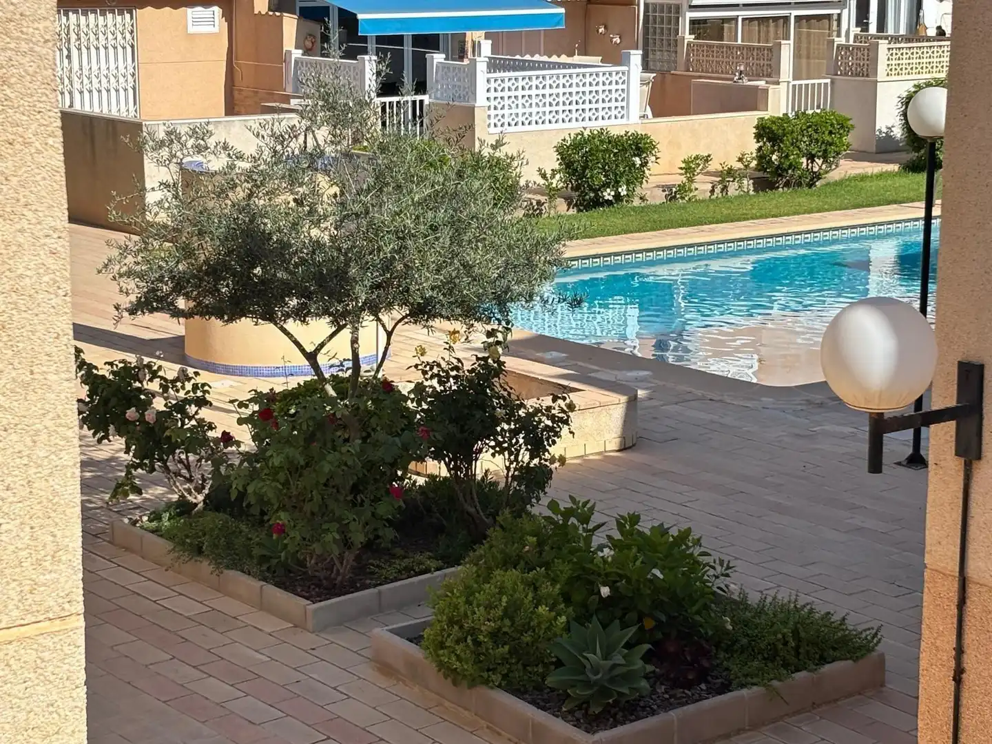 Piscina de Casa o chalet en venta en Torrevieja con Terraza y Piscina comunitaria