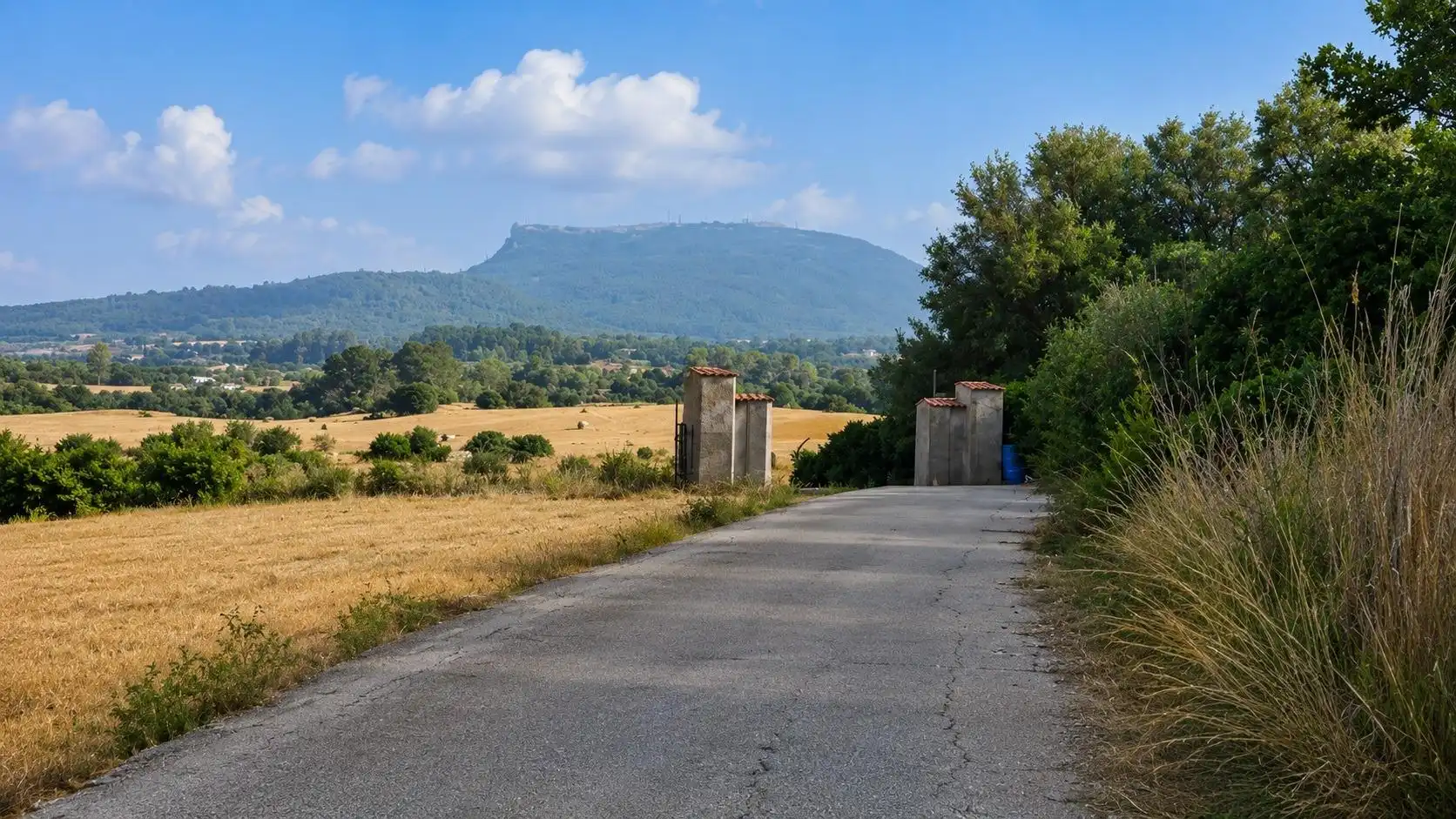 Terreni e lotti in vendita a Algaida, imagen 3