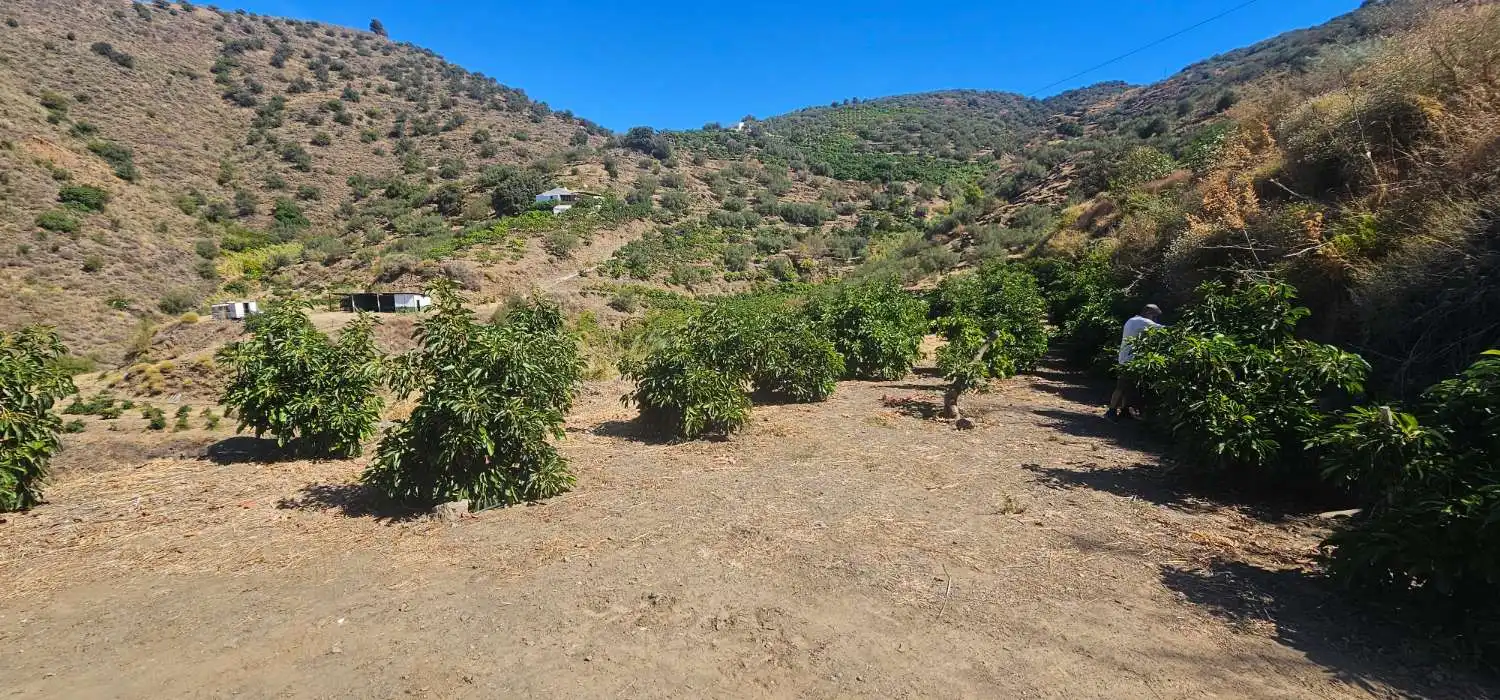Casa rústica en venta en Vélez-Málaga ciudad, imagen 6