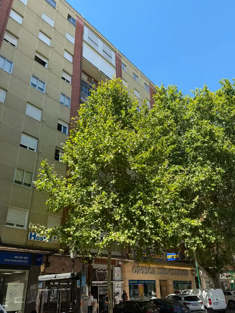 Flat with terrace for sale in Avenida Ramón y Cajal, imagen 47