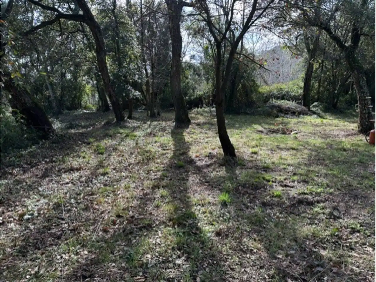 Terreno en venta en Calle GIV-521, 3, Riells i Viabrea