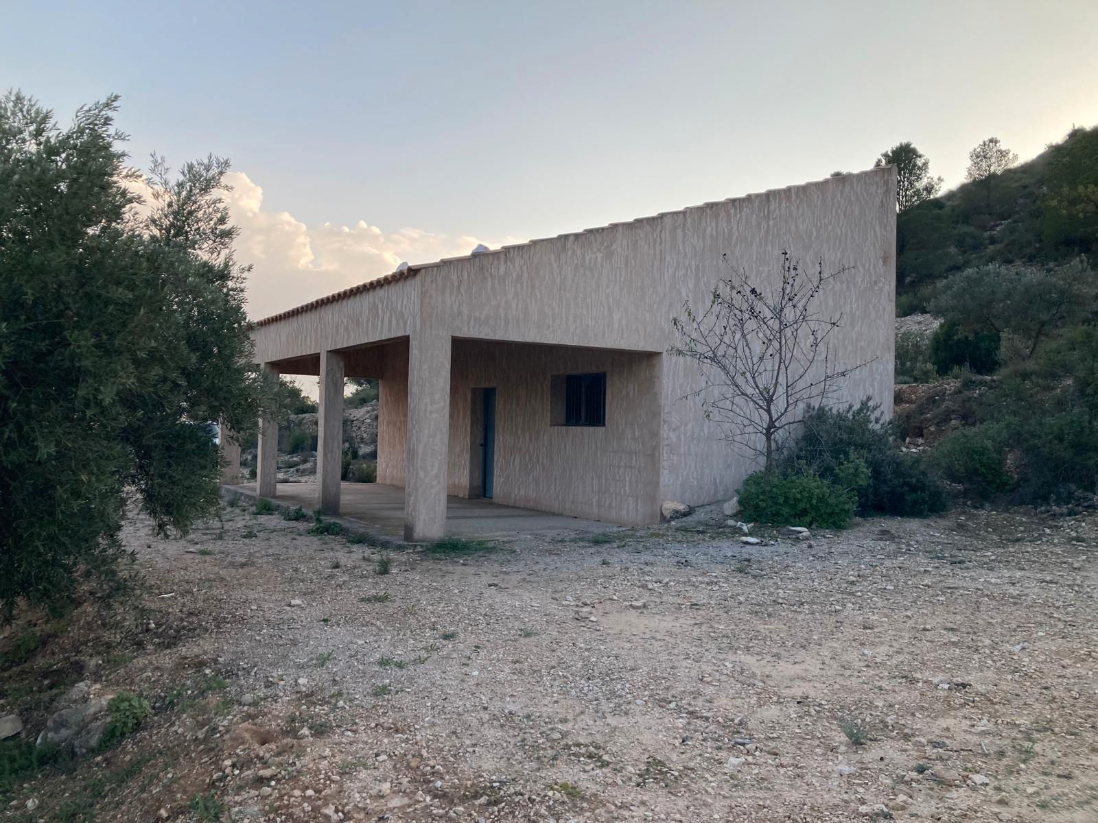 Vista exterior de Finca rústica en venta en Villena