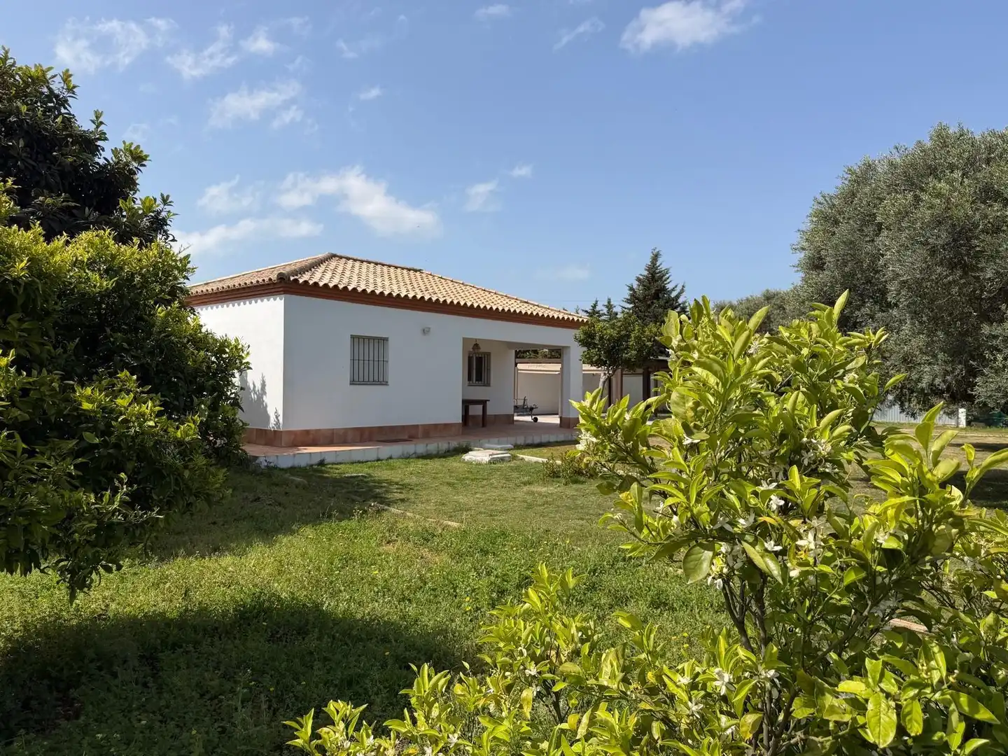 Jardí de Casa o xalet en venda en Chiclana de la Frontera amb Terrassa