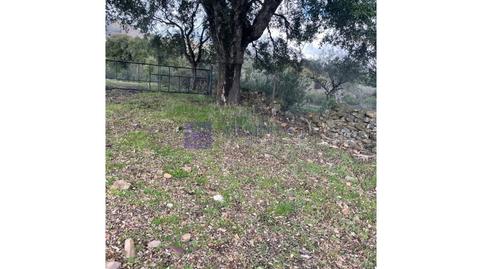 Photo 4 of House or chalet for sale in Plaza Manuel de Falla, Zona Norte - Hospital - Urbanizaciones, Plasencia