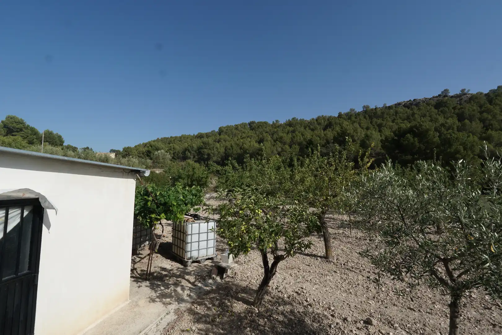 Jardí de Finca rústica en venda en Ibi