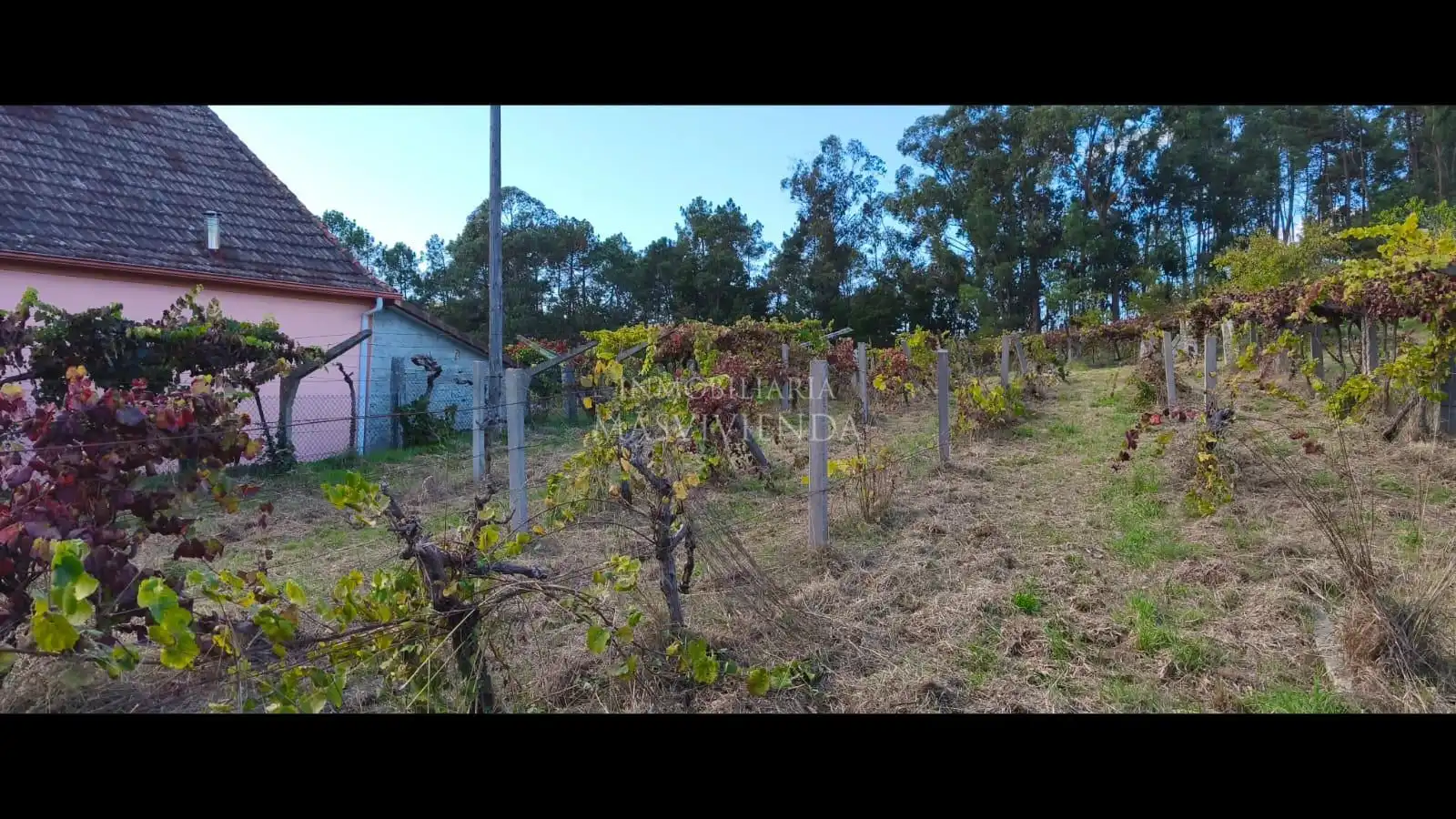 Casa o xalet en venda a Salvaterra de Miño