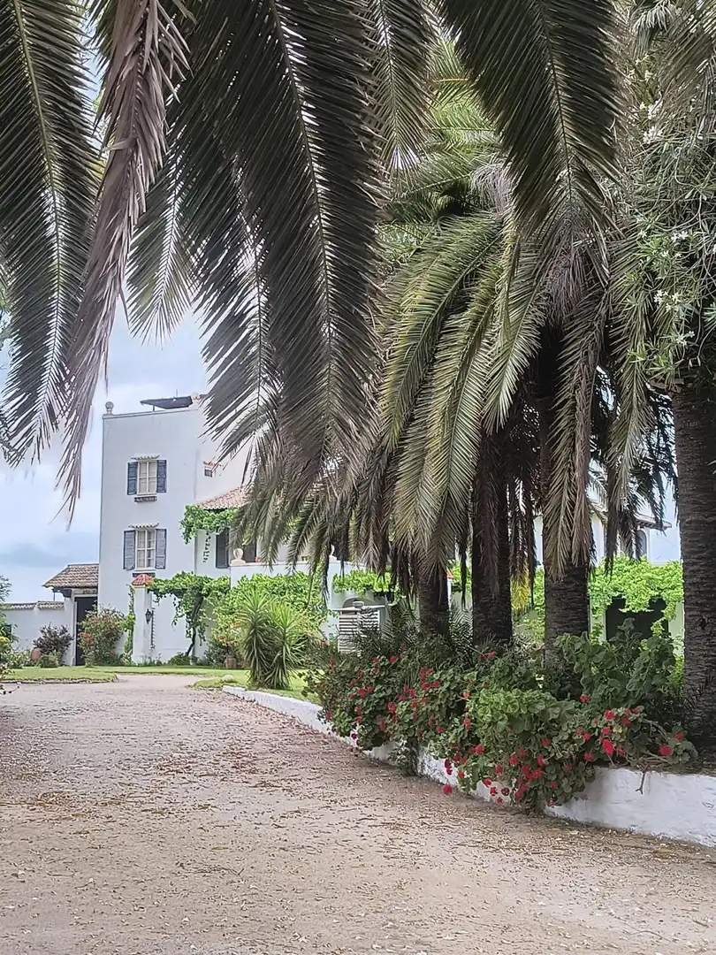 Vista exterior de Finca rústica en venta en Cullera con Calefacción, Jardín privado y Terraza