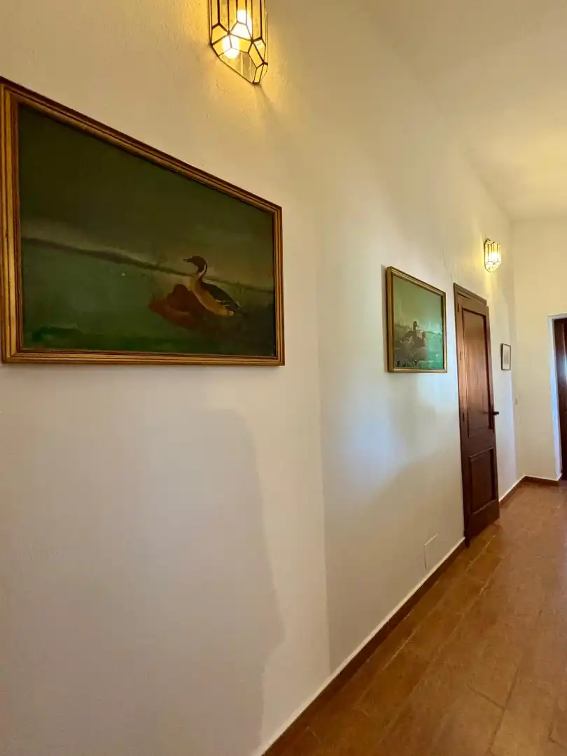 Terreni e lotti in vendita a Arcos de la Frontera, imagen 13