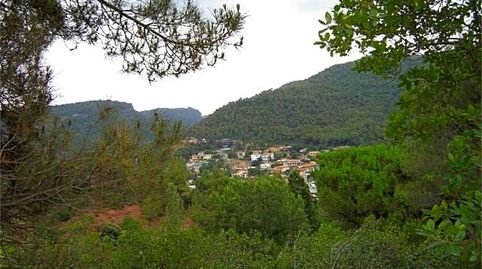 TERRENO EN VENTA EN CENTELLES