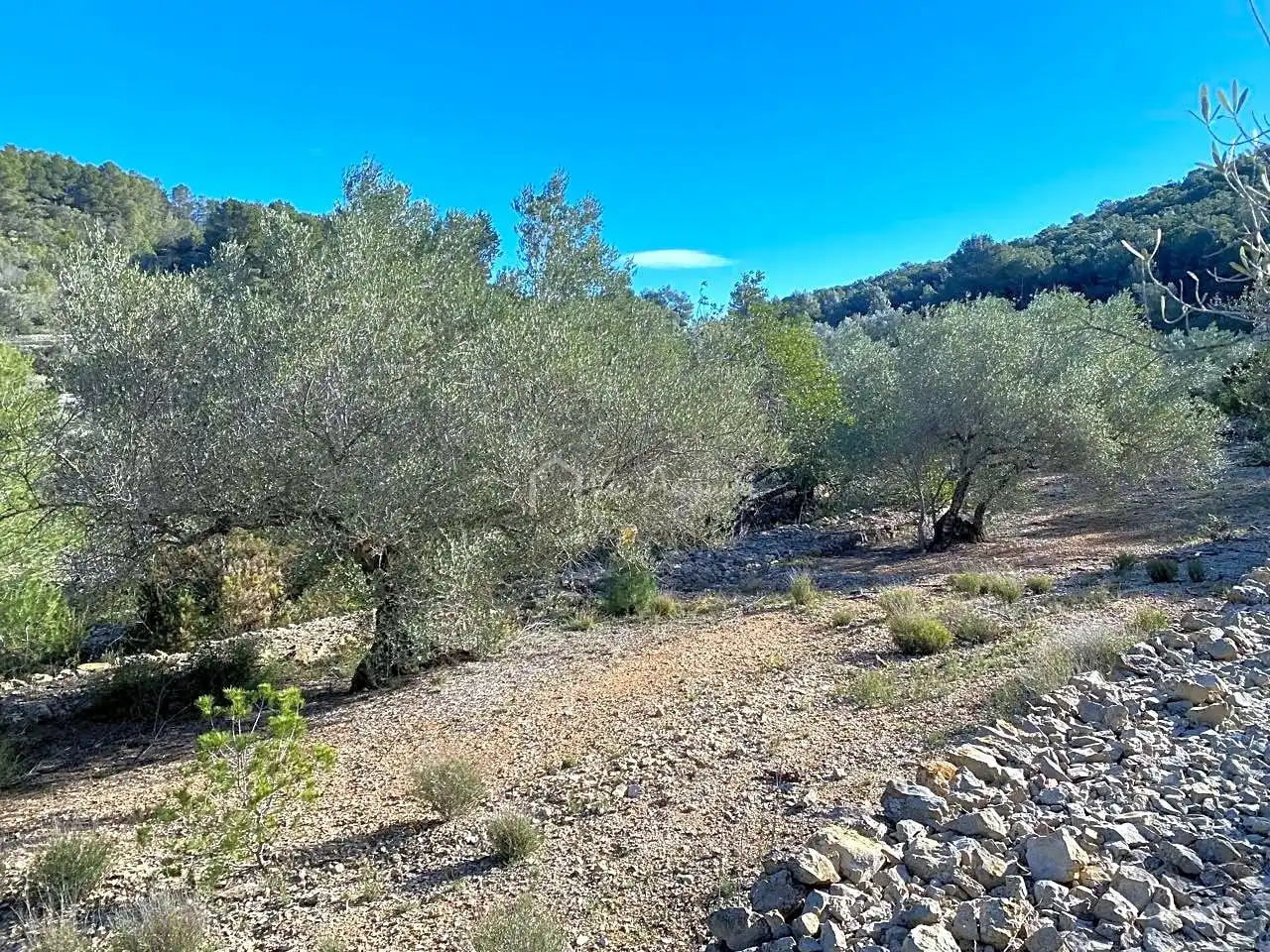 Terreno rustico in vendita a Aubachs, imagen 21