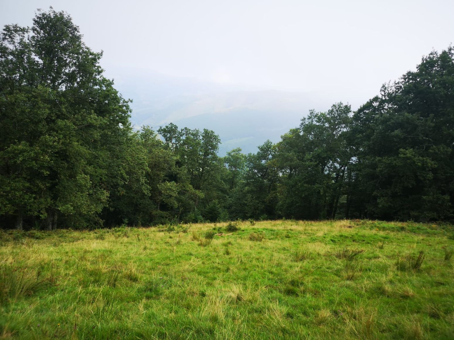 Casa o xalet en venda en Vega de Pas amb Jardí privat