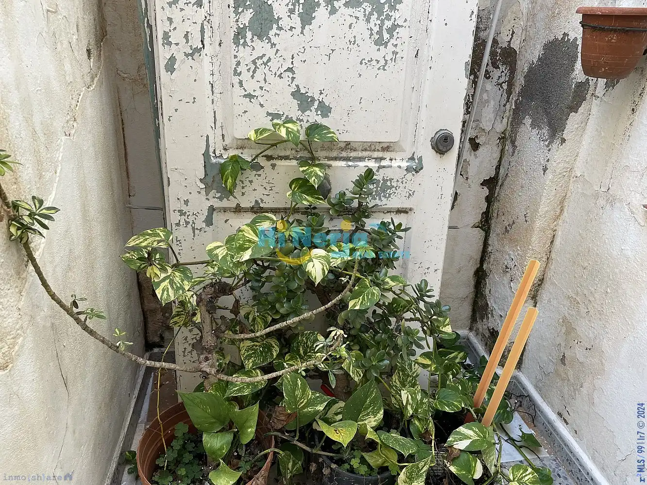 Maison à vendre à Centro, imagen 40