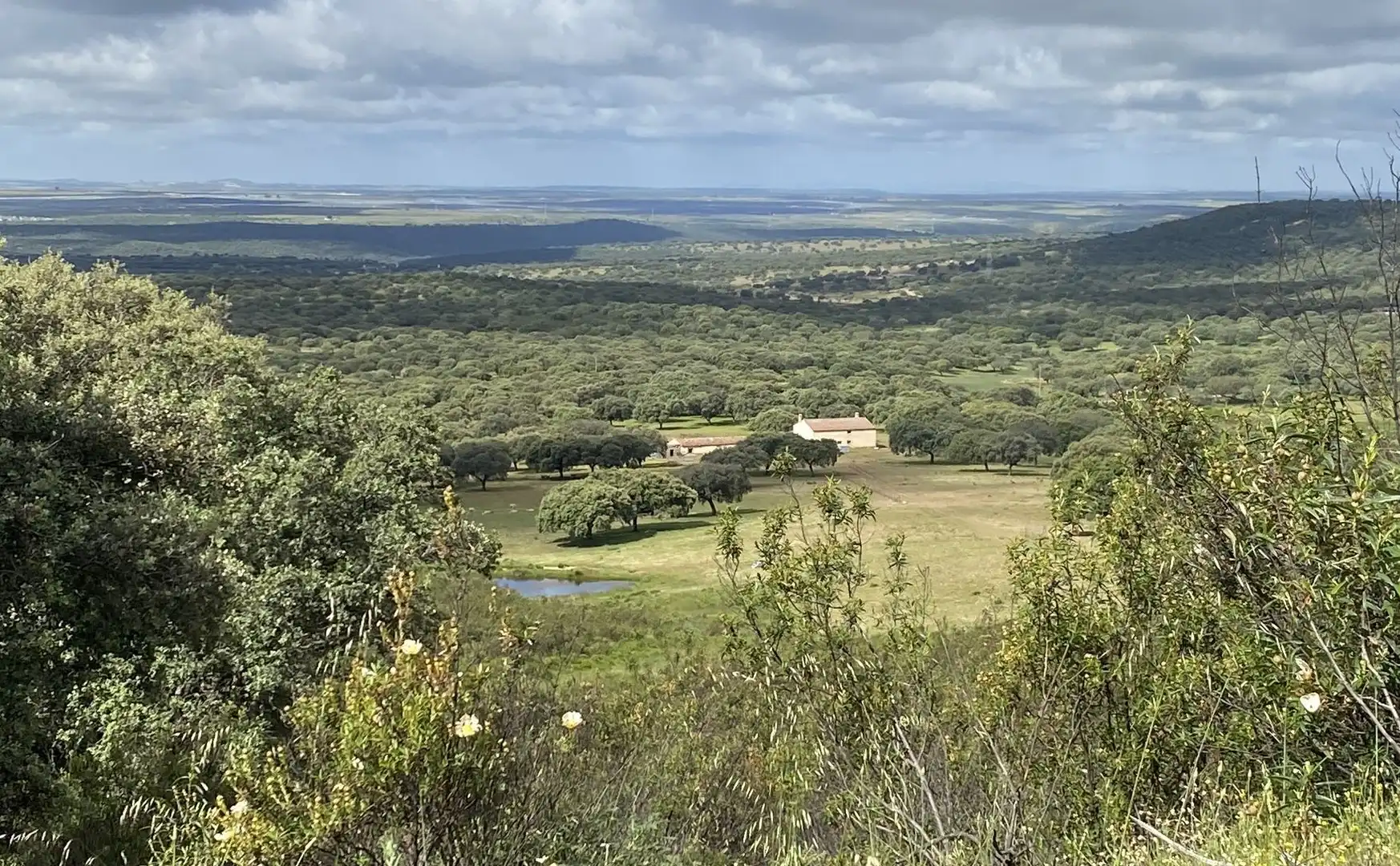 Terreno en venta en Deleitosa