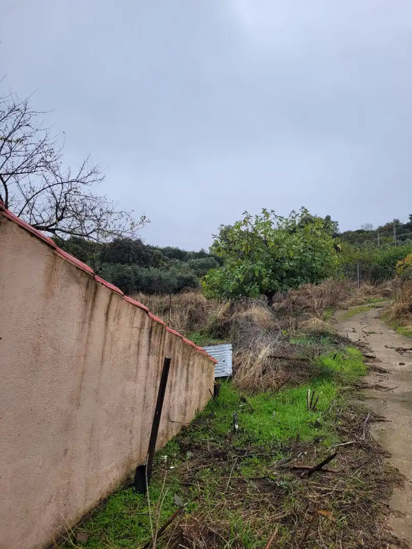Terreni e lotti in vendita a Carretera Malpartida 5M, imagen 10