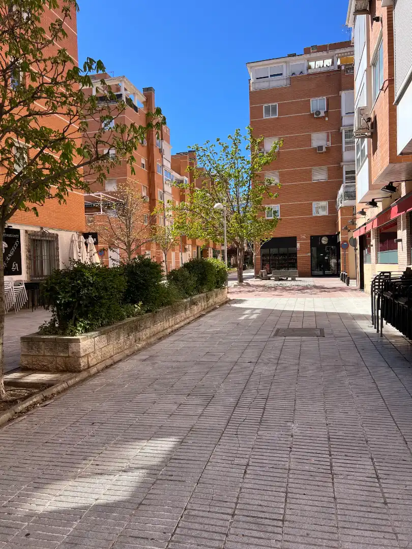 Exterior view of Flat for rent in  Madrid Capital  with Air Conditioner, Heating and Private garden