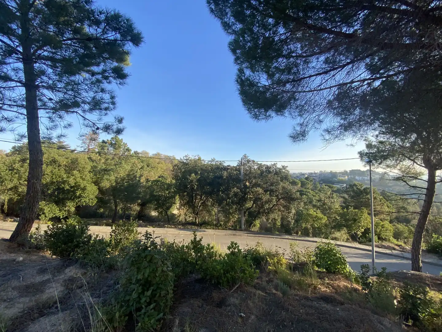 Terreno residencial en venta en Carrer Pi 7, imagen 6