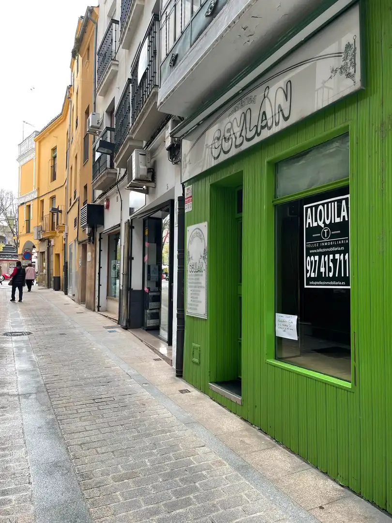 Gewerbefläche zur Miete in Centro Ciudad, imagen 5