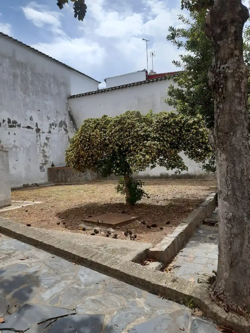 Garden of Buildings for sale in Constantina