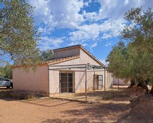 Vista exterior de Finca rústica en venda en L'Aldea amb Jardí privat i Traster