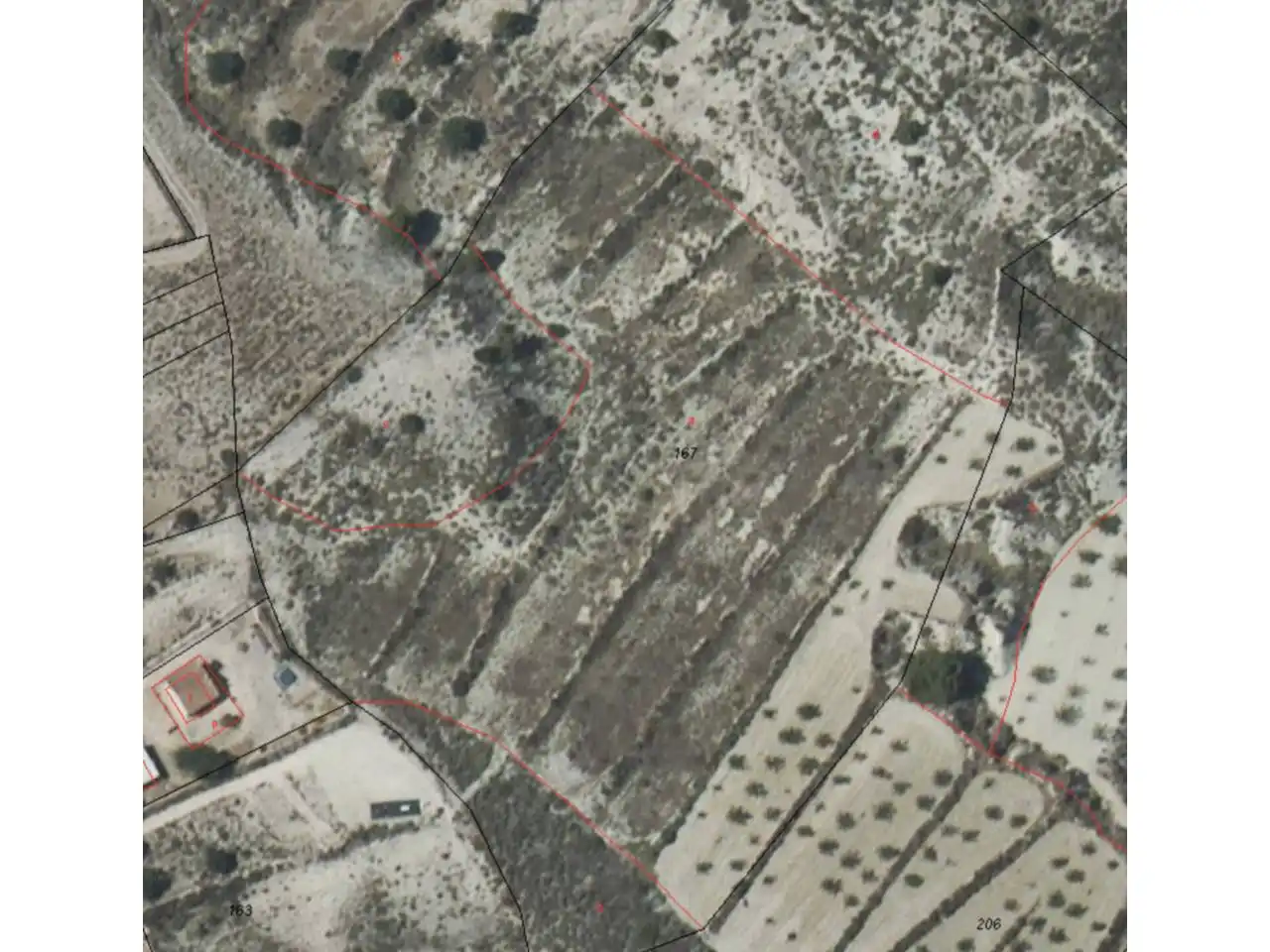 Lands and plots for sale in Ojós, imagen 10
