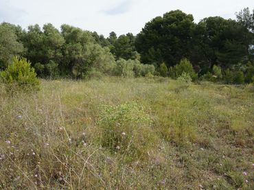 Country house for sale in Les Borges del Camp