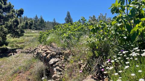 Foto 2 de Residencial en venta en La Quinta - Taucho, Adeje