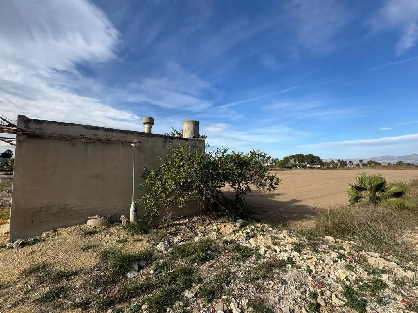 Rural land for sale in Catral, imagen 9