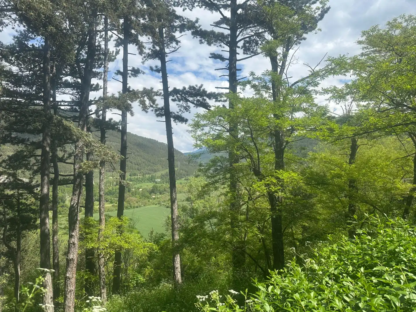 Casa o chalet en venta en Jaca con Calefacción, Jardín privado y Parquet