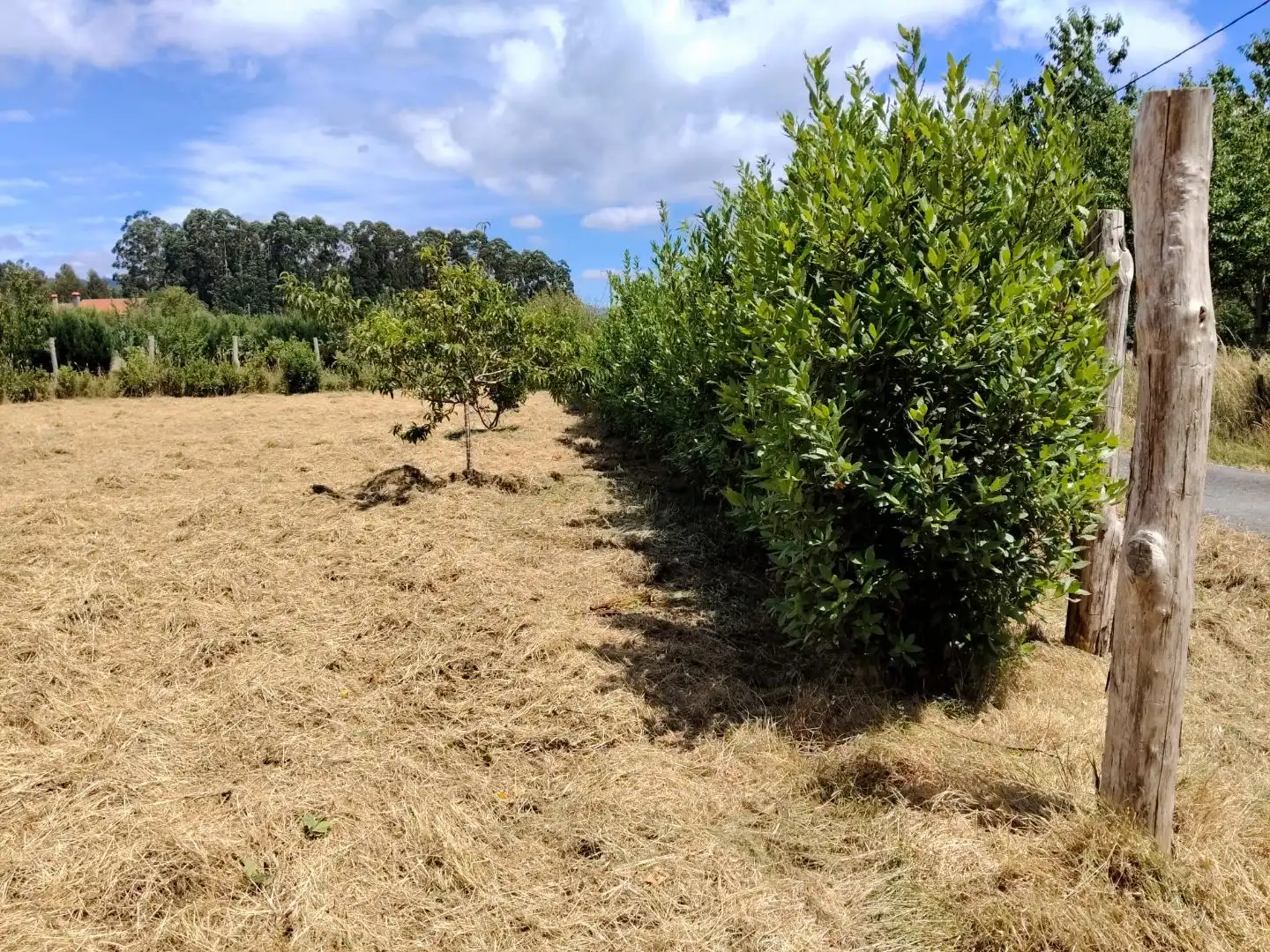Residencial en venta en Lugar Pazo de Irixoa, 21, Irixoa